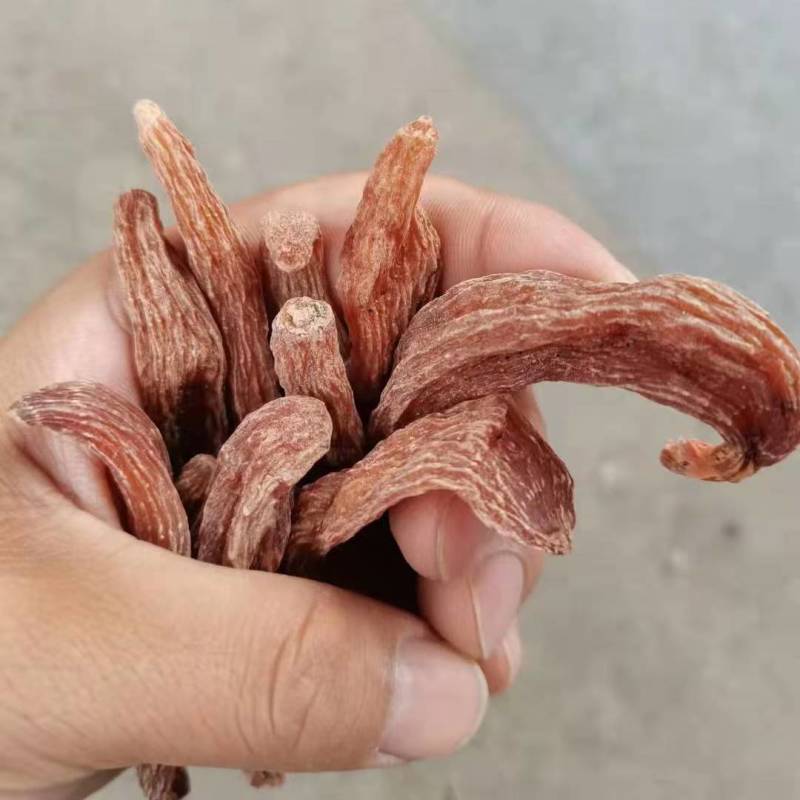龙血天麻红天麻云南丽江红天麻赤箭天麻批发
