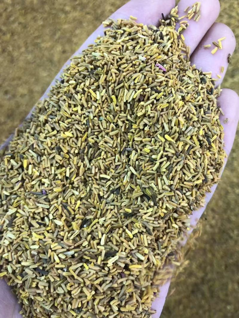 白芍花蕊仿金花蕊牡丹花蕊黄金蕊金花蕊茶牡丹花蕊