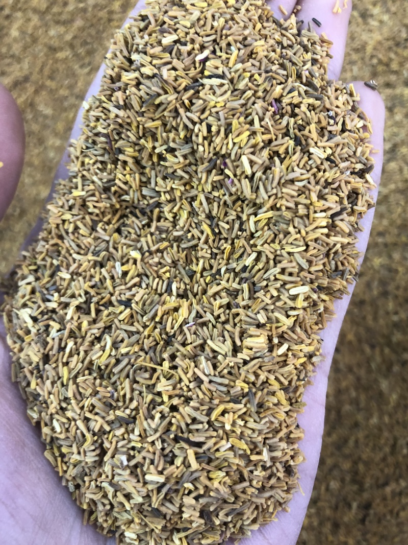 白芍花蕊仿金花蕊牡丹花蕊黄金蕊金花蕊茶牡丹花蕊