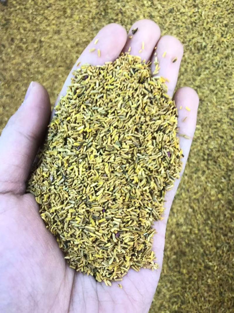 白芍花蕊仿金花蕊牡丹花蕊黄金蕊金花蕊茶牡丹花蕊