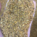 白芍花蕊仿金花蕊牡丹花蕊黄金蕊金花蕊茶牡丹花蕊