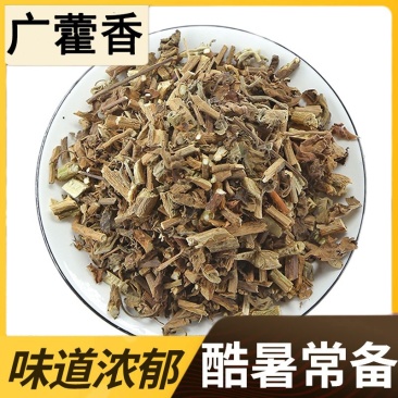 正宗藿香中药材批发野生新货无硫广藿香叶正品藿香土霍香藿香