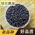 中药材特级野生药用黑豆黑芸豆乌豆大黑豆正品新货新