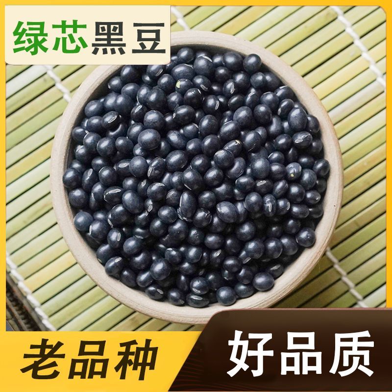 中药材特级野生药用黑豆黑芸豆乌豆大黑豆正品新货新