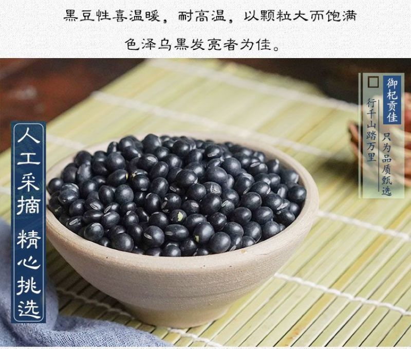 中药材特级野生药用黑豆黑芸豆乌豆大黑豆正品新货新