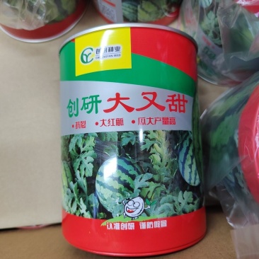 创研大又甜西瓜种子80克罐装抗裂耐重茬大红瓤