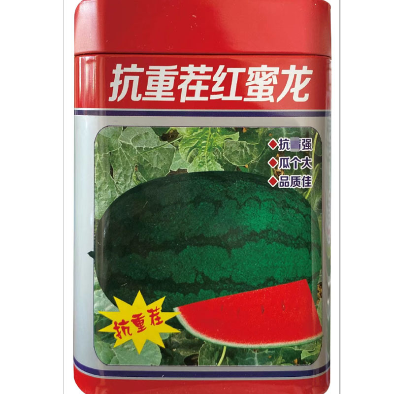 抗重茬红蜜龙西瓜种子50克罐装单瓜约10公斤大红瓤