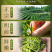 明前龙井茶125g*2罐（1000）