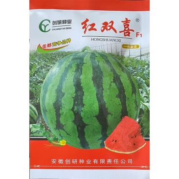 红双喜西瓜种子400粒原装早熟单果重8公斤左右
