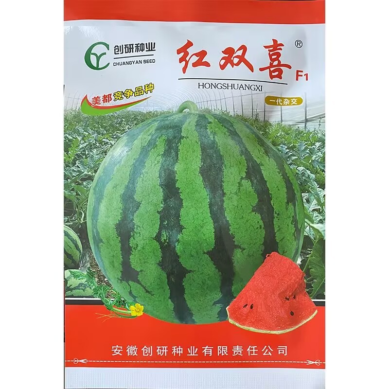 红双喜西瓜种子400粒原装早熟单果重8公斤左右