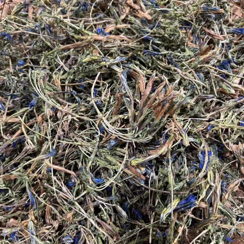 龙胆草龙胆花龙胆草龙胆花龙胆草