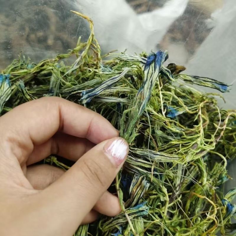 龙胆草龙胆花龙胆草龙胆花龙胆草