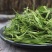 淡竹叶西域冰竹叶淡竹叶西域冰竹叶批发