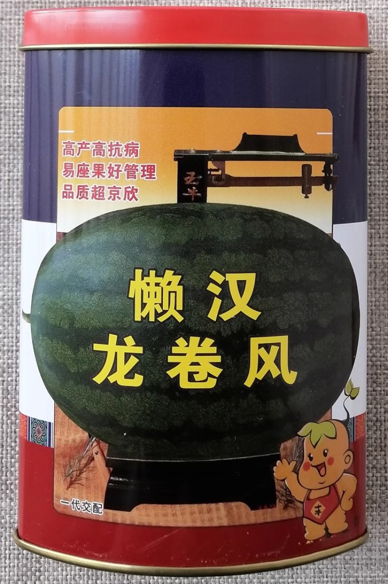 懒汉龙卷风西瓜种子50克罐装高抗病单瓜10-15公斤