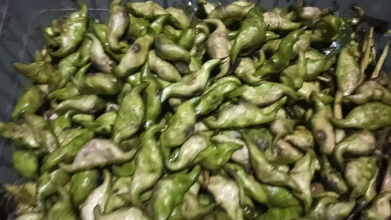 菱角水红菱产地直销量大质优价格优惠一手货源欢迎咨询
