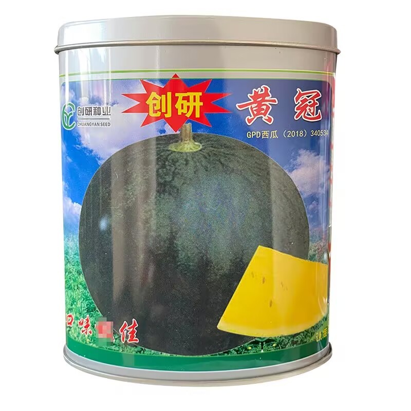 创研黄冠西瓜种子早熟耐裂黄瓤西瓜种子果肉晶黄