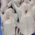 【鹅肉】广东黑棕鹅厂家直销欢迎各大老板咨询采购