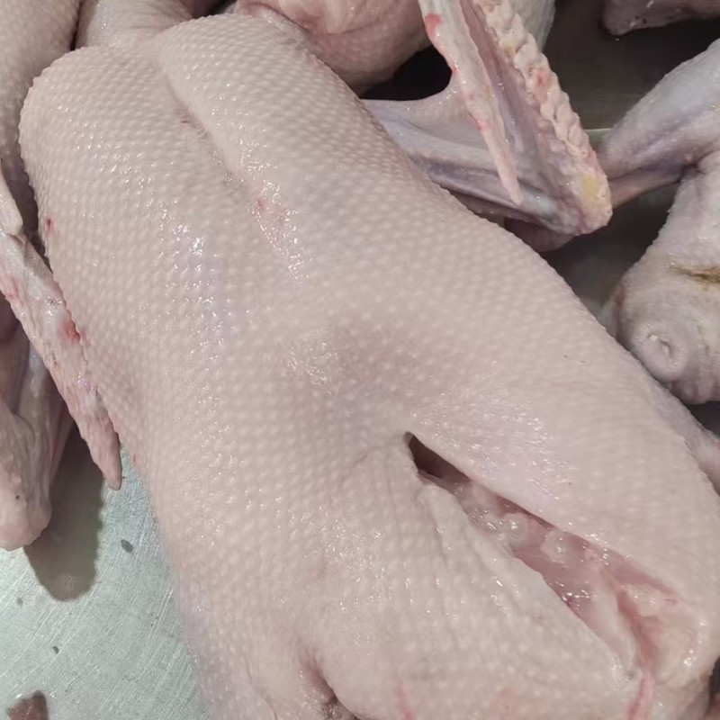 【鹅肉】广东黑棕鹅厂家直销欢迎各大老板咨询采购