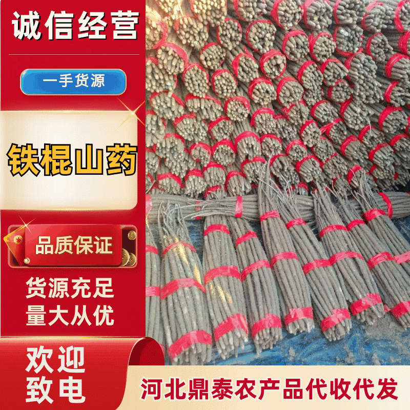 精选铁棍山药产地直发品质保证规格齐全量大从优欢迎来