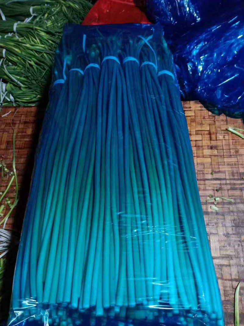精品蒜薹山东临沂蒜薹，产地直发，品质保证，可视频看货