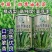 精选四季油麦菜种子口感脆香农科院无斑绿油麦菜种籽抗寒耐热