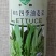 精选四季油麦菜种子口感脆香农科院无斑绿油麦菜种籽抗寒耐热