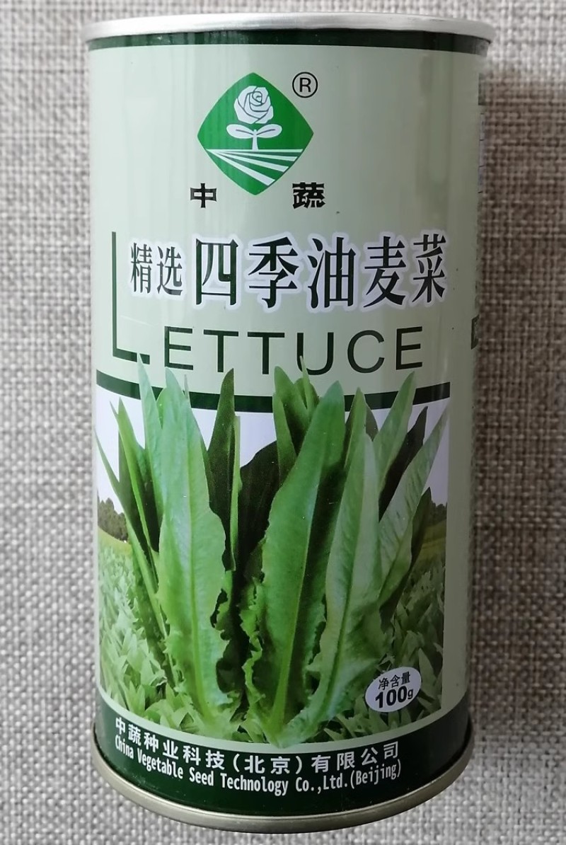 精选四季油麦菜种子口感脆香农科院无斑绿油麦菜种籽抗寒耐热