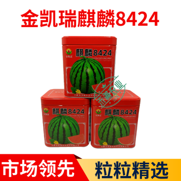 金凯瑞麒麟8424西瓜种子脆甜高糖抗病西瓜种籽高产热销西