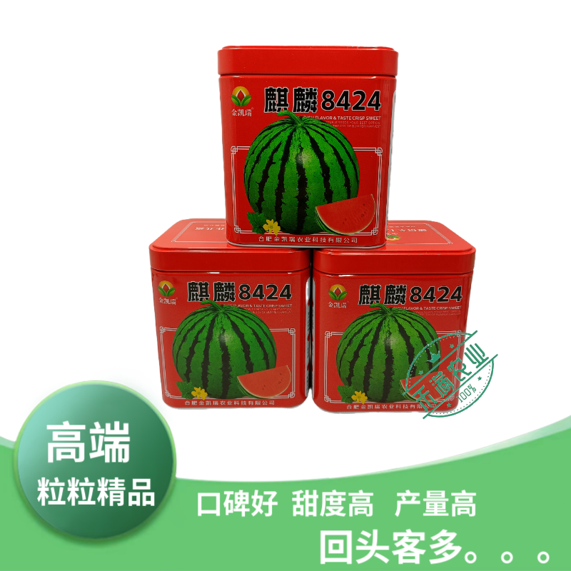 金凯瑞麒麟8424西瓜种子脆甜高糖抗病西瓜种籽高产热销西