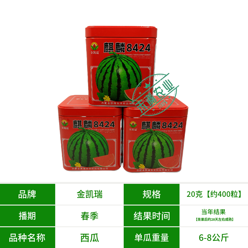 金凯瑞麒麟8424西瓜种子脆甜高糖抗病西瓜种籽高产热销西