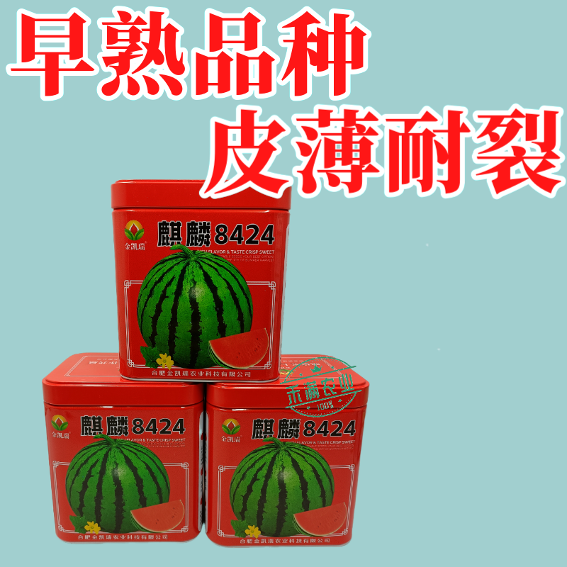 金凯瑞麒麟8424西瓜种子脆甜高糖抗病西瓜种籽高产热销西