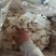 【热卖中】精品山药片品质保证大量有货可视频看货
