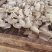 【诚信卖家】精品山药片大量有货产地直发