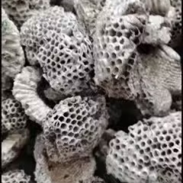 蜂巢，软蜂房