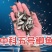 中科五号鲫鱼苗对接批发零售规格齐全欢迎来电洽谈合作