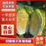 山东新鲜白菜，量大从优，产地直发，欢迎来点