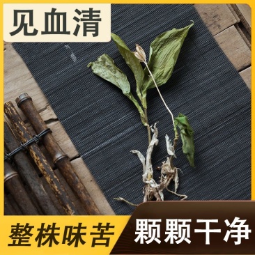 云南丽江见血清500克中药材整颗见血青草药羊儿蒜立地好今