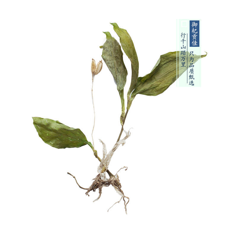 云南丽江见血清500克中药材整颗见血青草药羊儿蒜立地好今