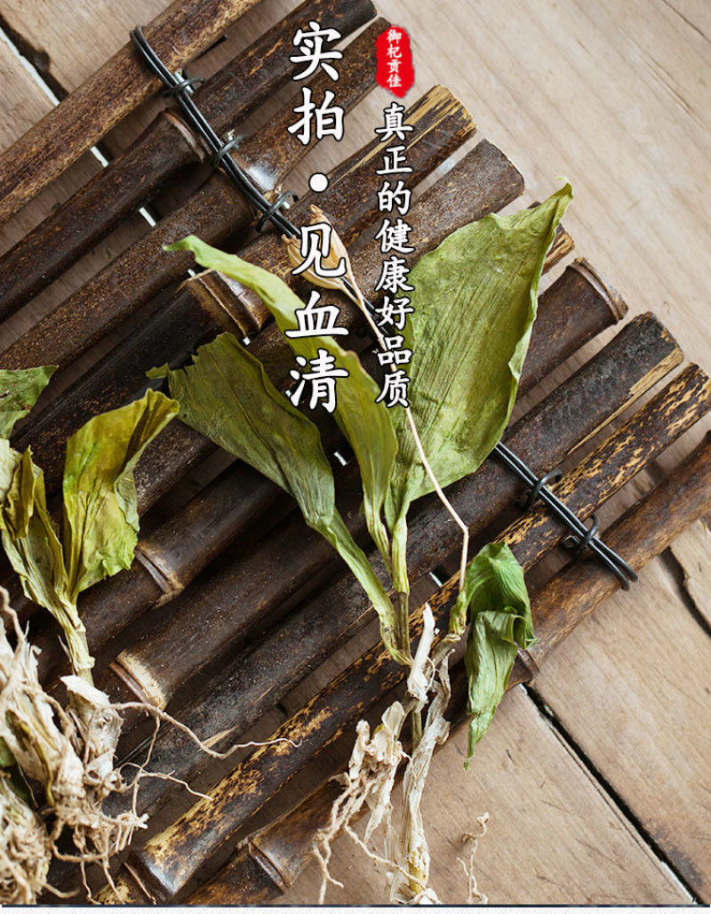 云南丽江见血清500克中药材整颗见血青草药羊儿蒜立地好今