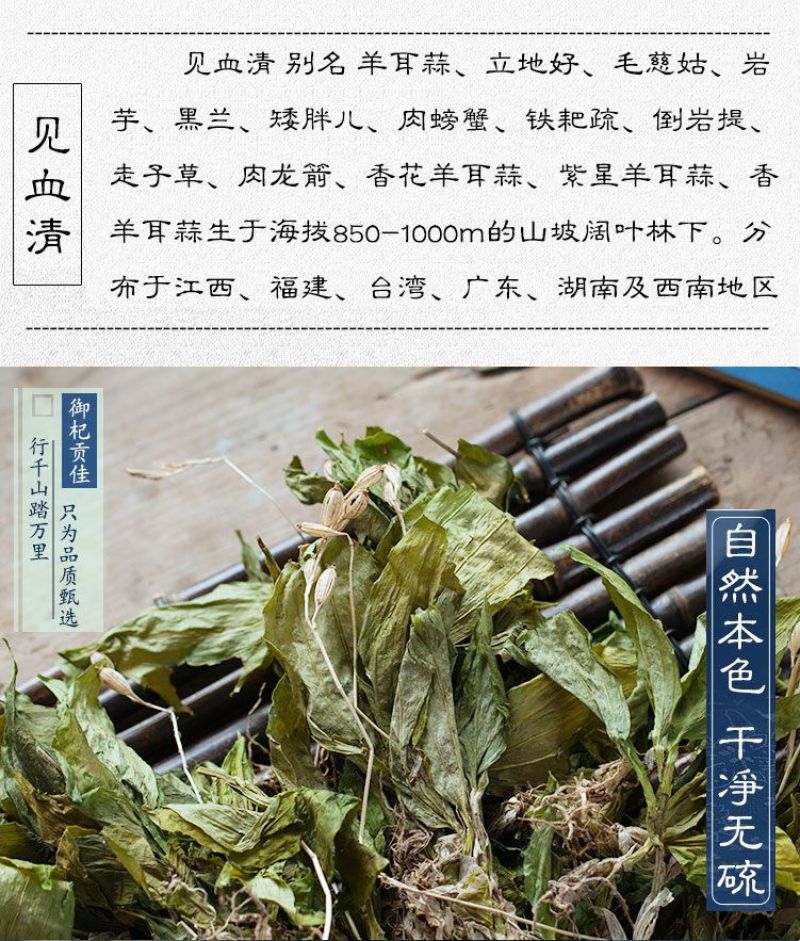 云南丽江见血清500克中药材整颗见血青草药羊儿蒜立地好今