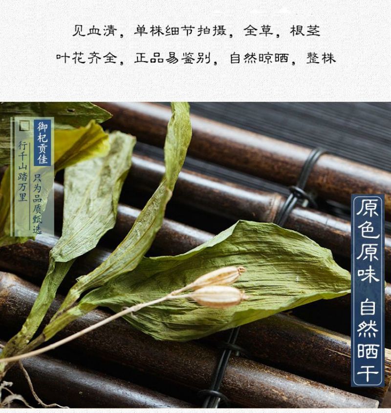 云南丽江见血清500克中药材整颗见血青草药羊儿蒜立地好今