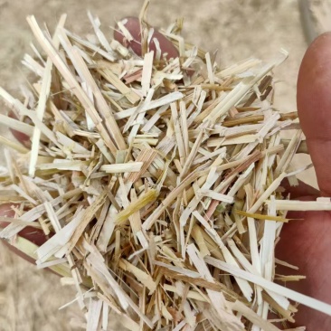 湖北小麦秸秆肉丝扎段都有干度好无杂质有设备装货快运费低