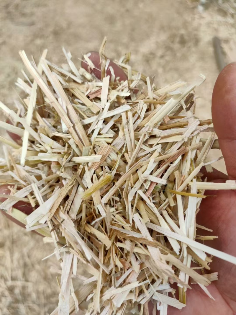湖北小麦秸秆肉丝扎段都有干度好无杂质有设备装货快运费低