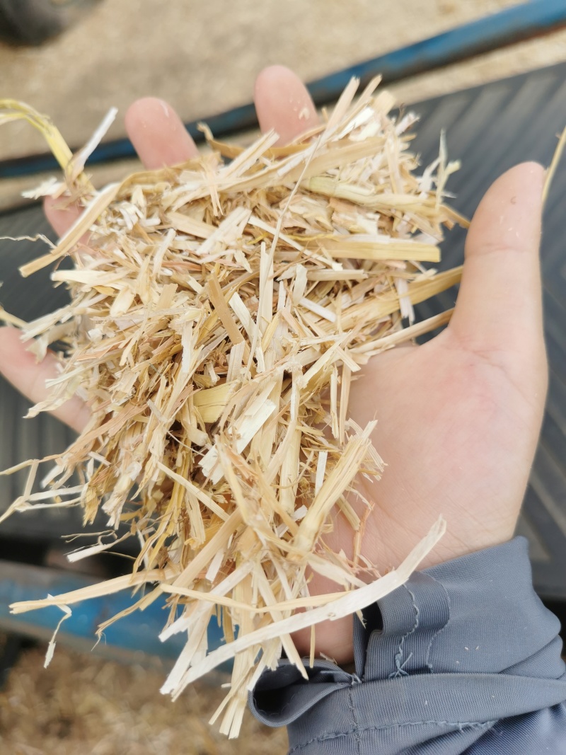 湖北小麦秸秆肉丝扎段都有干度好无杂质有设备装货快运费低