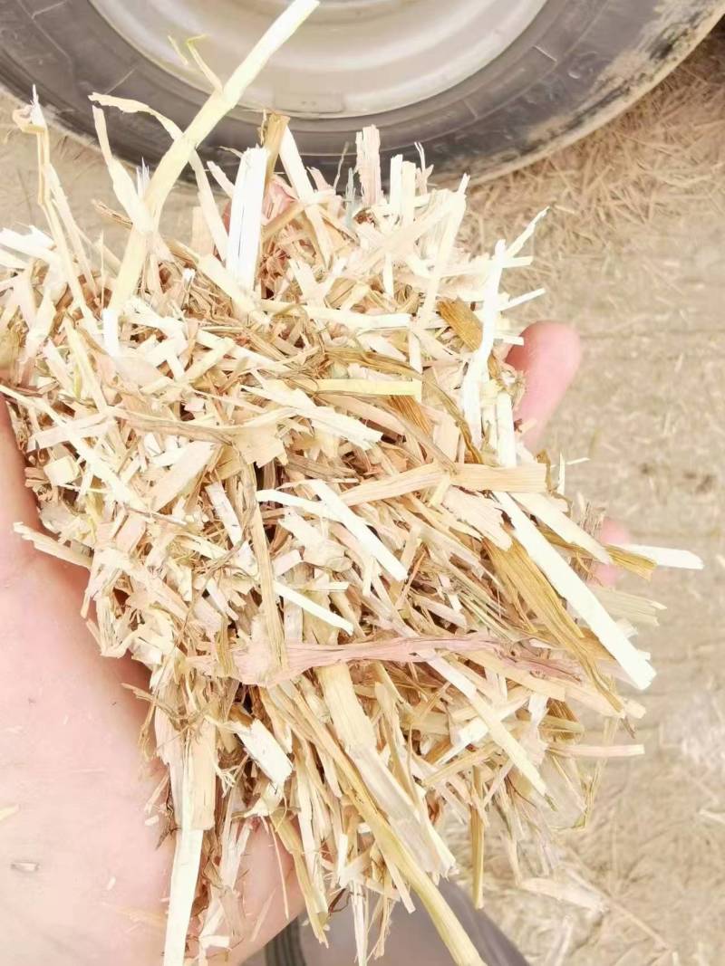 湖北小麦秸秆肉丝扎段都有干度好无杂质有设备装货快运费低