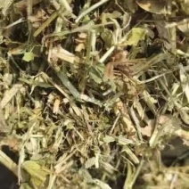 湖北仙桃本地花生秧大小长短都有按需求分拣打包实地视频看货