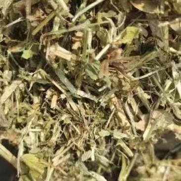 湖北仙桃本地花生秧大小长短都有按需求分拣打包实地视频看货