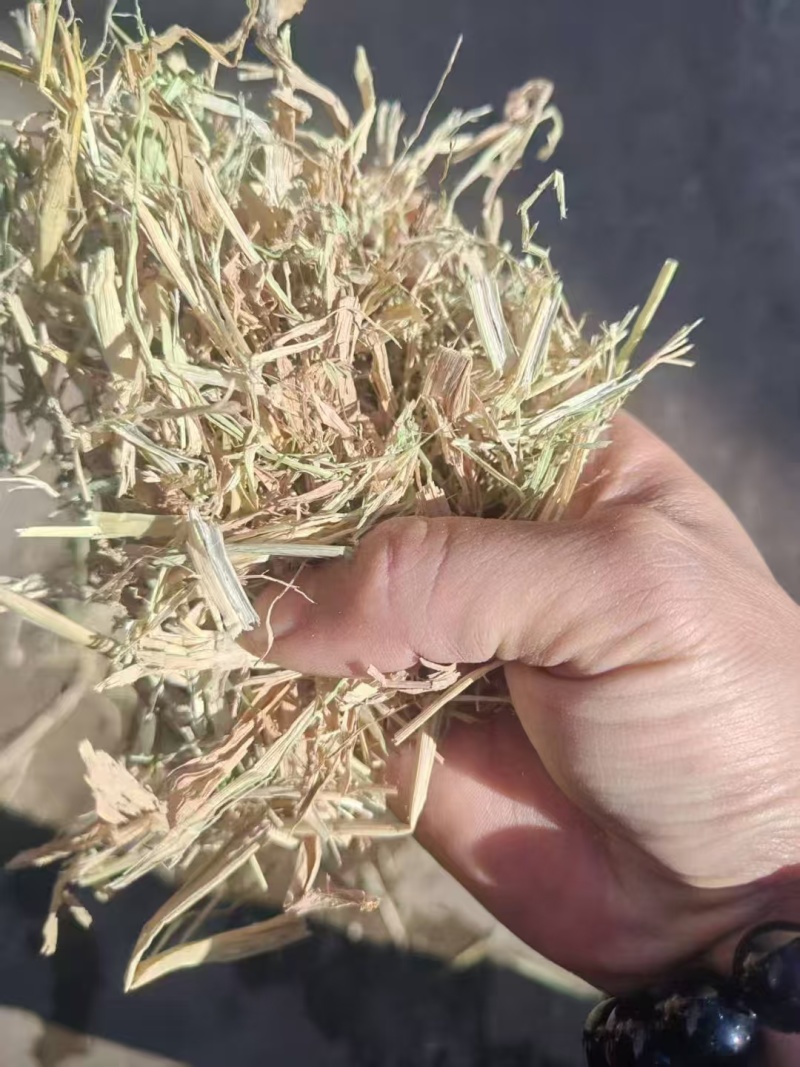 湖北仙桃干稻草货量大无膜无杂可以定制大小长短常年有货一手
