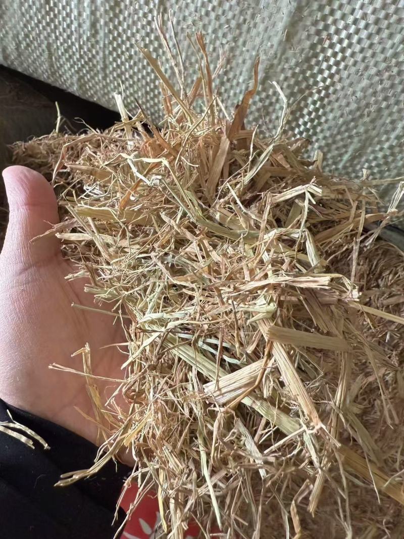 湖北仙桃干稻草货量大无膜无杂可以定制大小长短常年有货一手