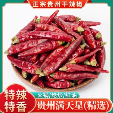 贵州满天星干辣椒新品上市现货供应对接全国量大质优